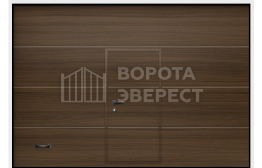 Ворота промышленные 5000×2000 с калиткой ВЭ-4189